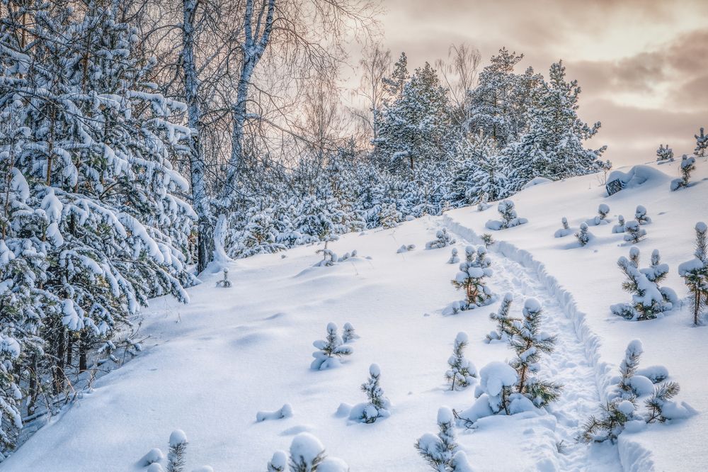 Photograph by Денис Хабибуллин