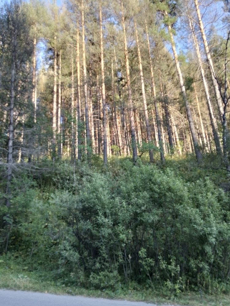 Photo #11791070