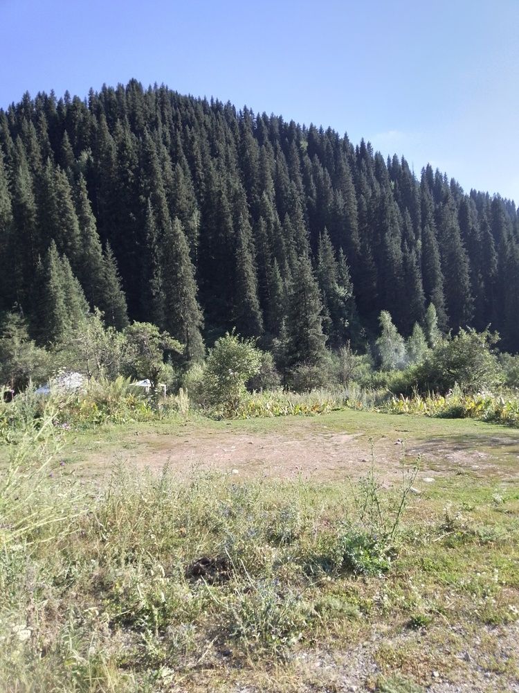 Photo #11791075