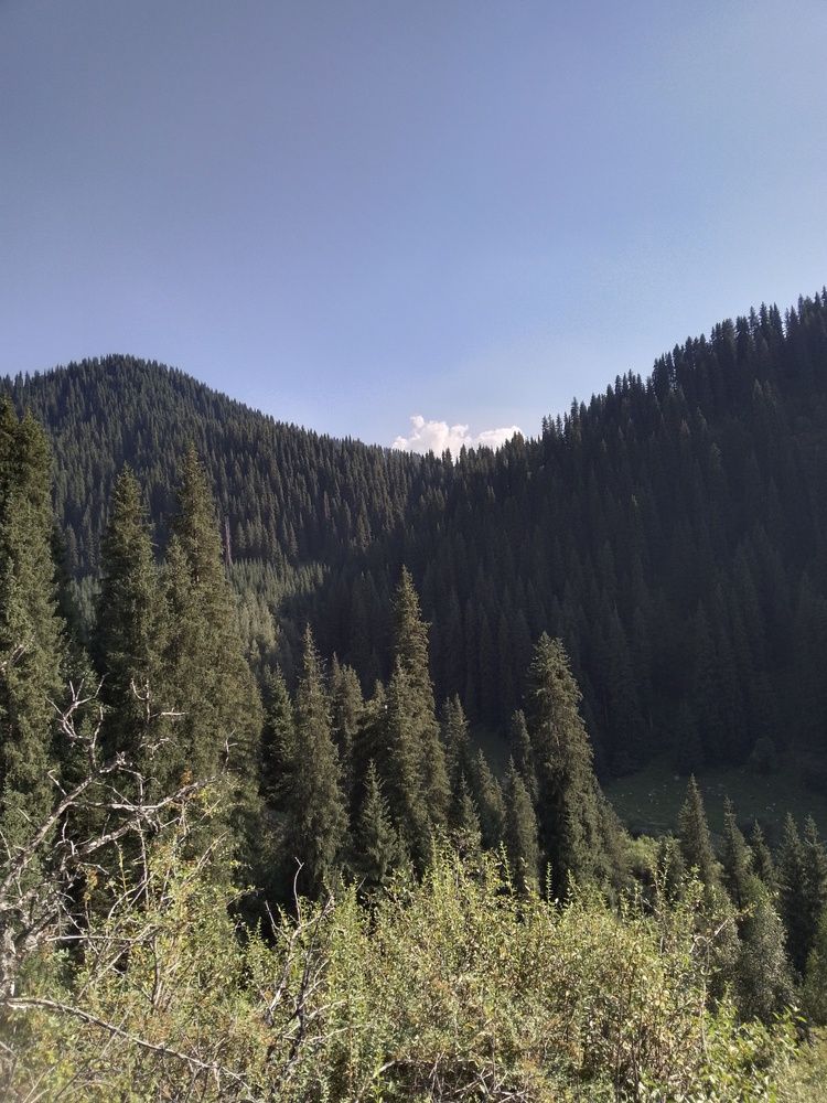 Photo #11791085