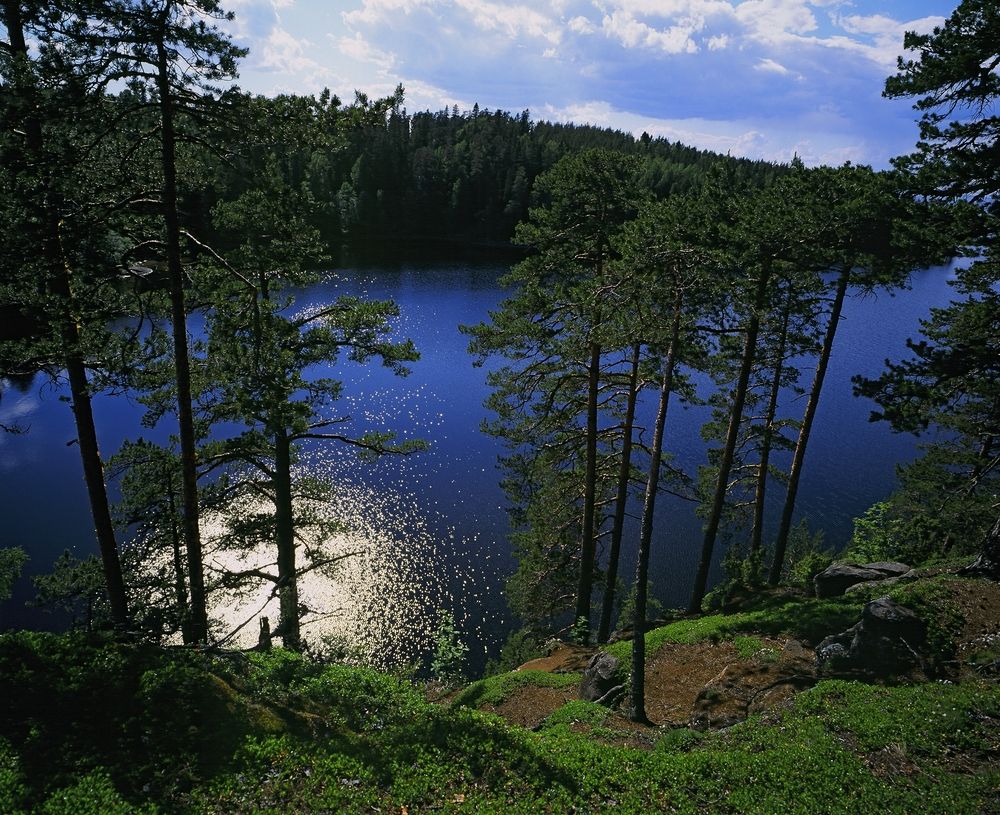 Фотография автора Игорь Дьяченко