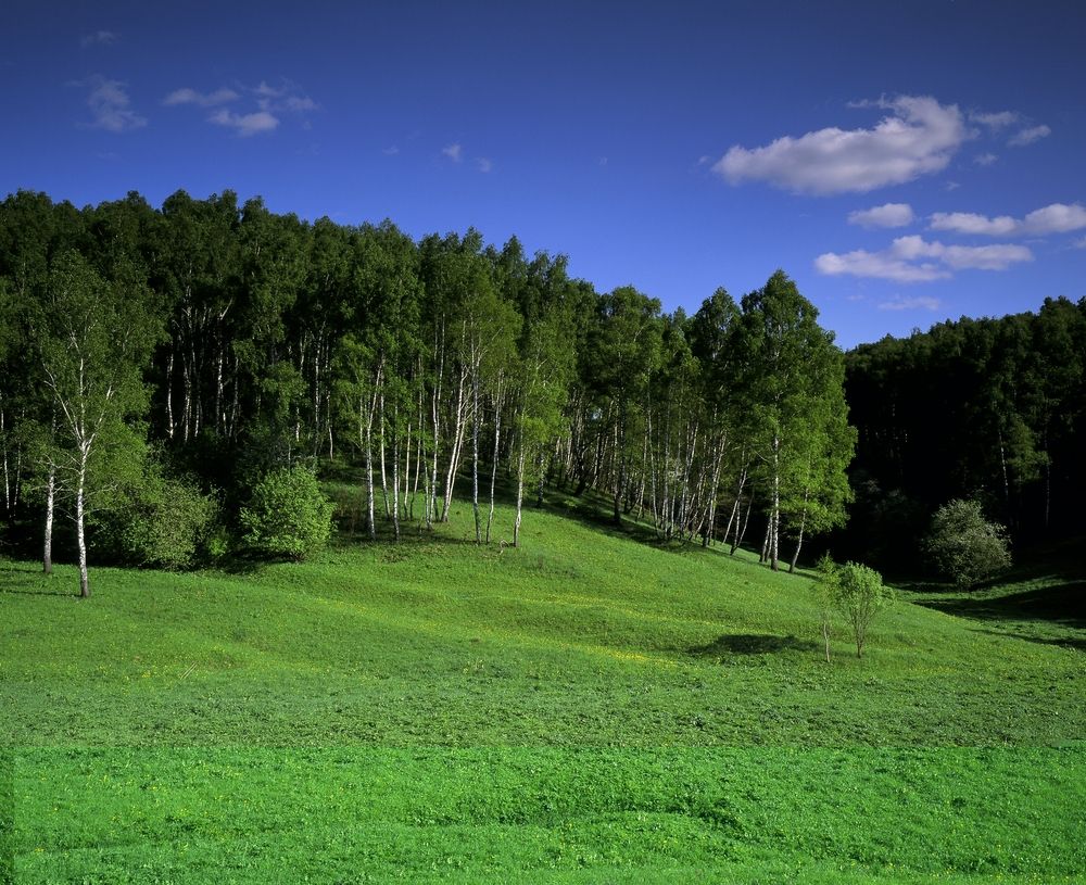 Фотография автора Игорь Дьяченко