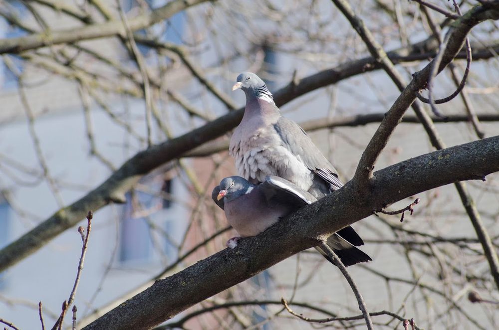 Photograph by Александр Новиков