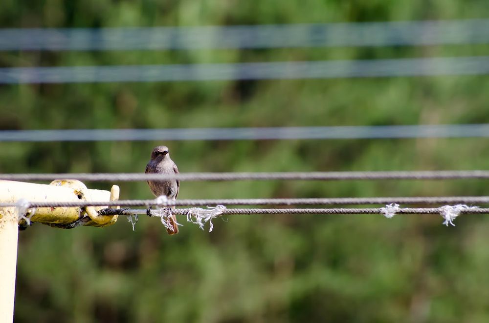 Photograph by Александр Новиков