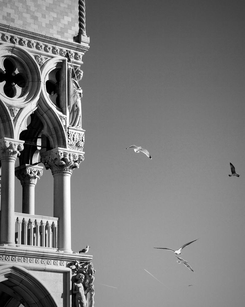 Photograph by Евгения Мягкова