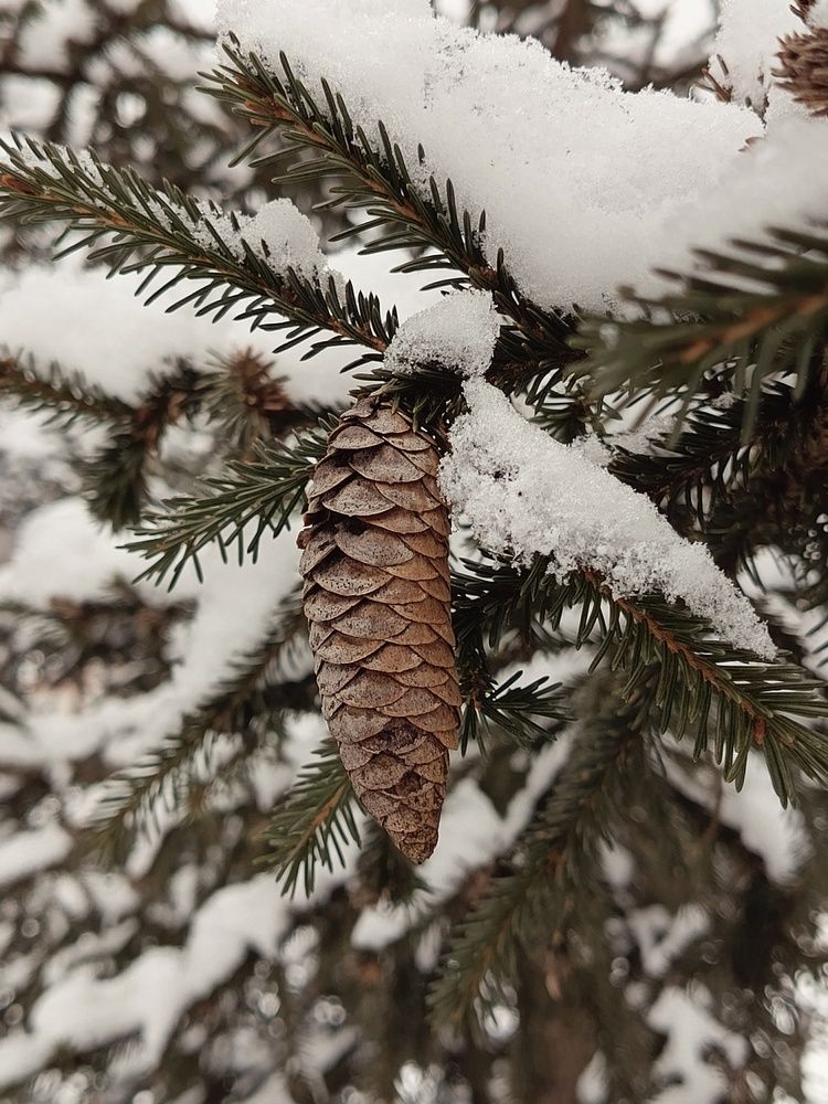 Photograph by Александра Ламанова