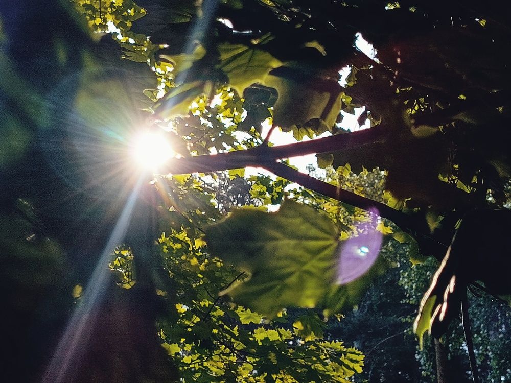 Photograph by Александра Ламанова