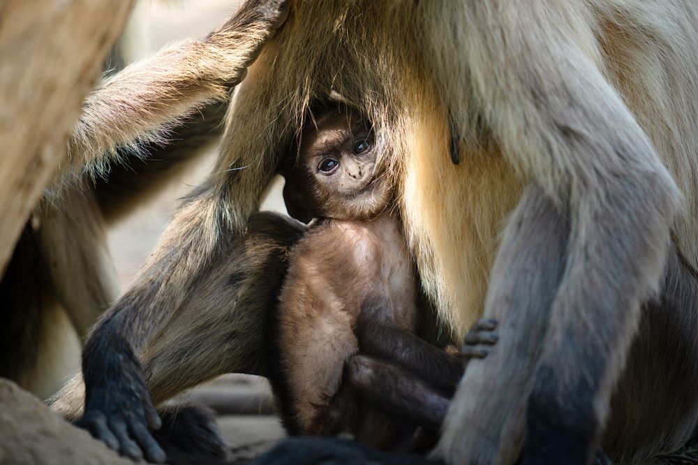 Фотография автора Karthik Subramaniam