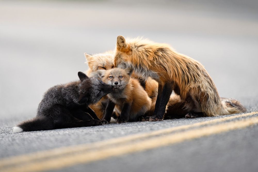 Photograph by Karthik Subramaniam