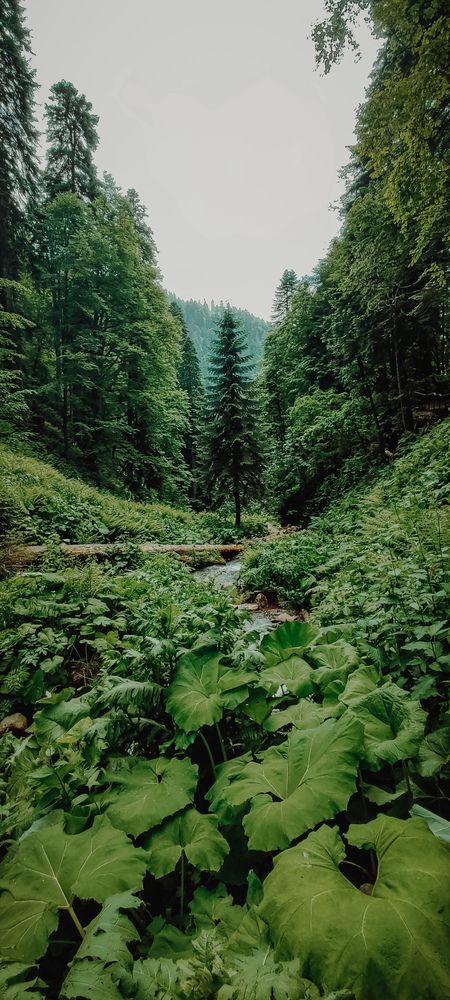 Фотография автора Alexander Titov