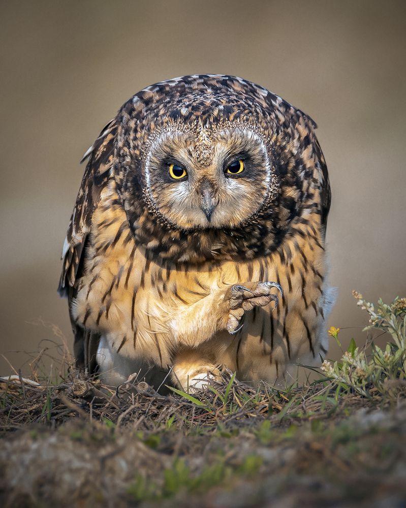 Photograph by Bidyut Kalita