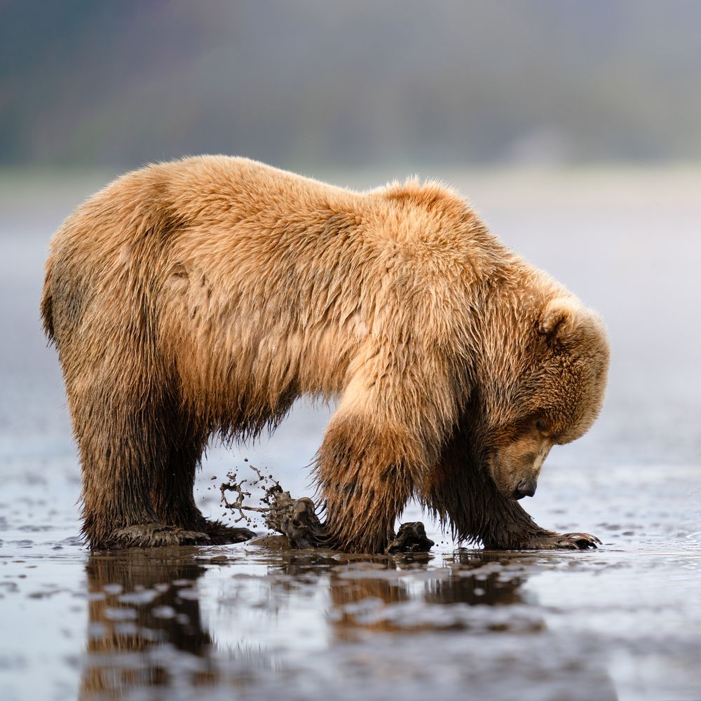 Фотография автора Karthik Subramaniam