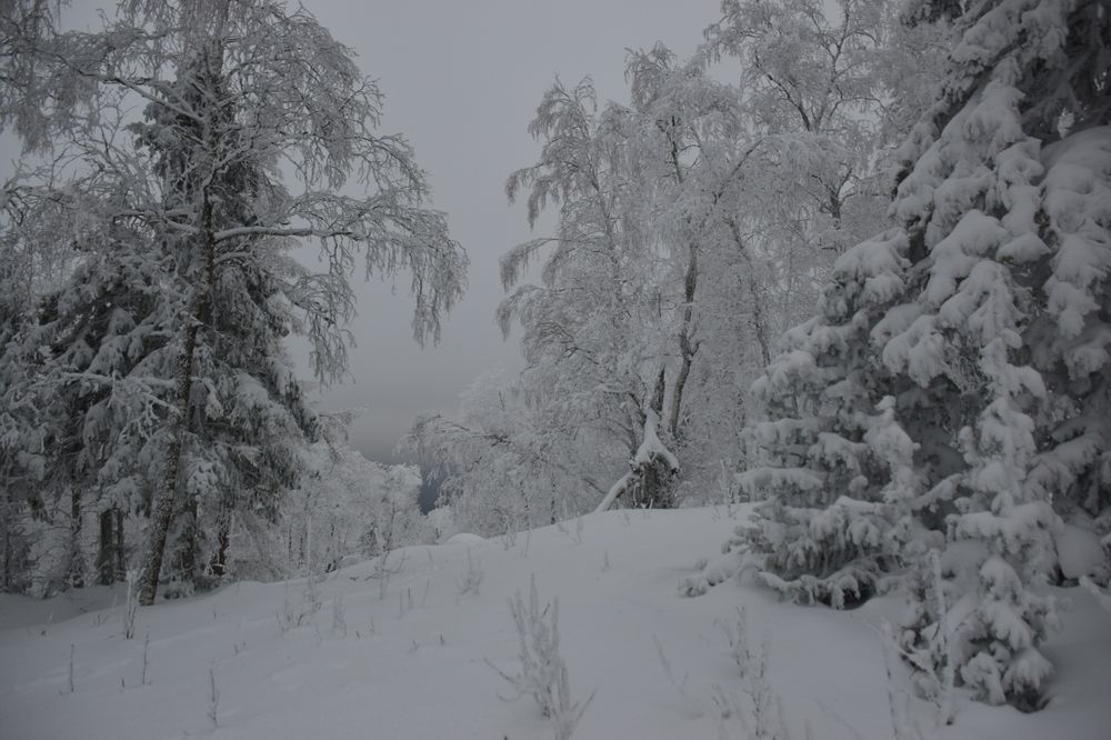 Photograph by Ксения Харлапина