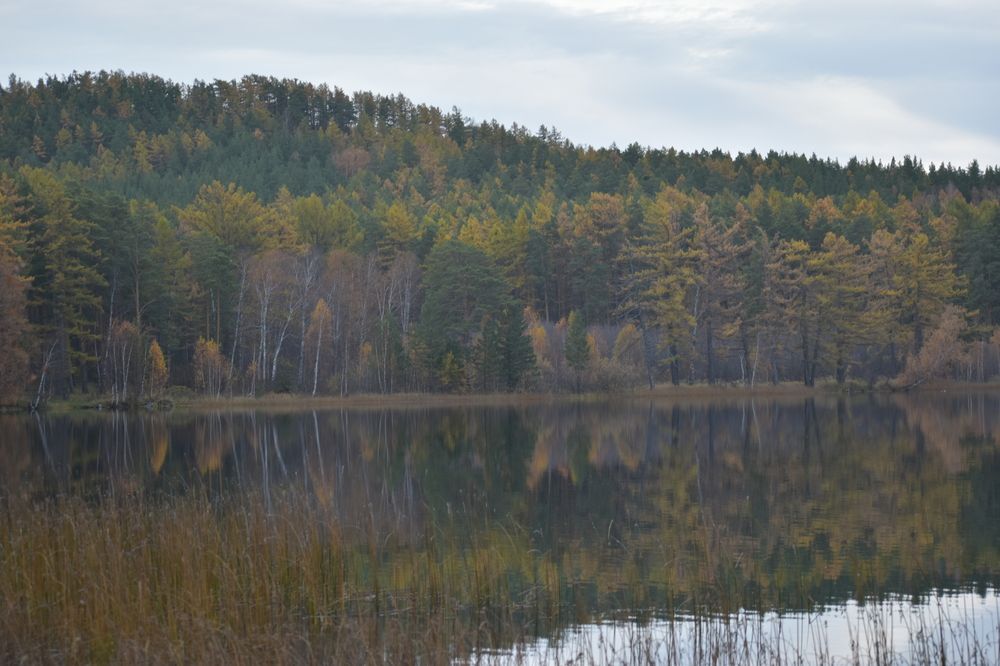 Photograph by Ксения Харлапина