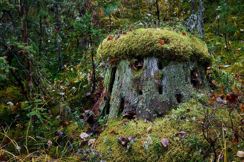 Photograph by Ася Костюковская