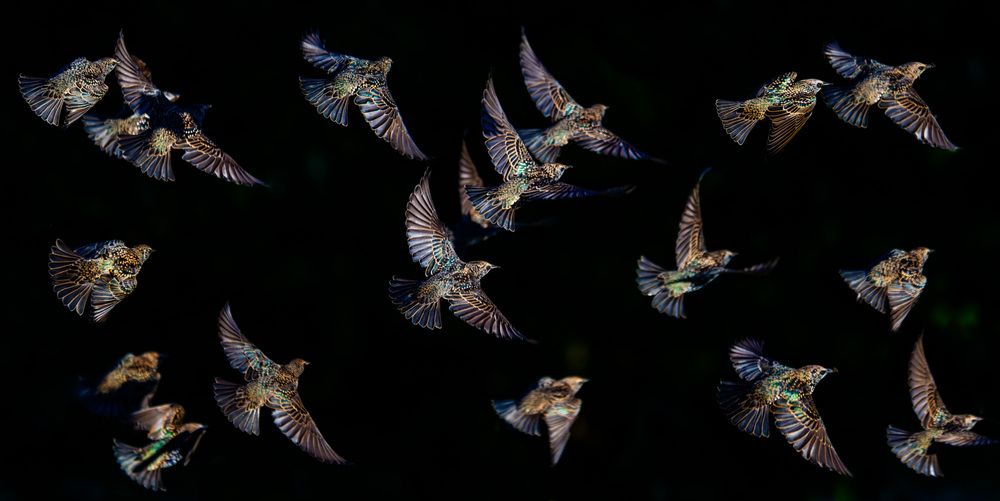 Photograph by Алексей Зайцев