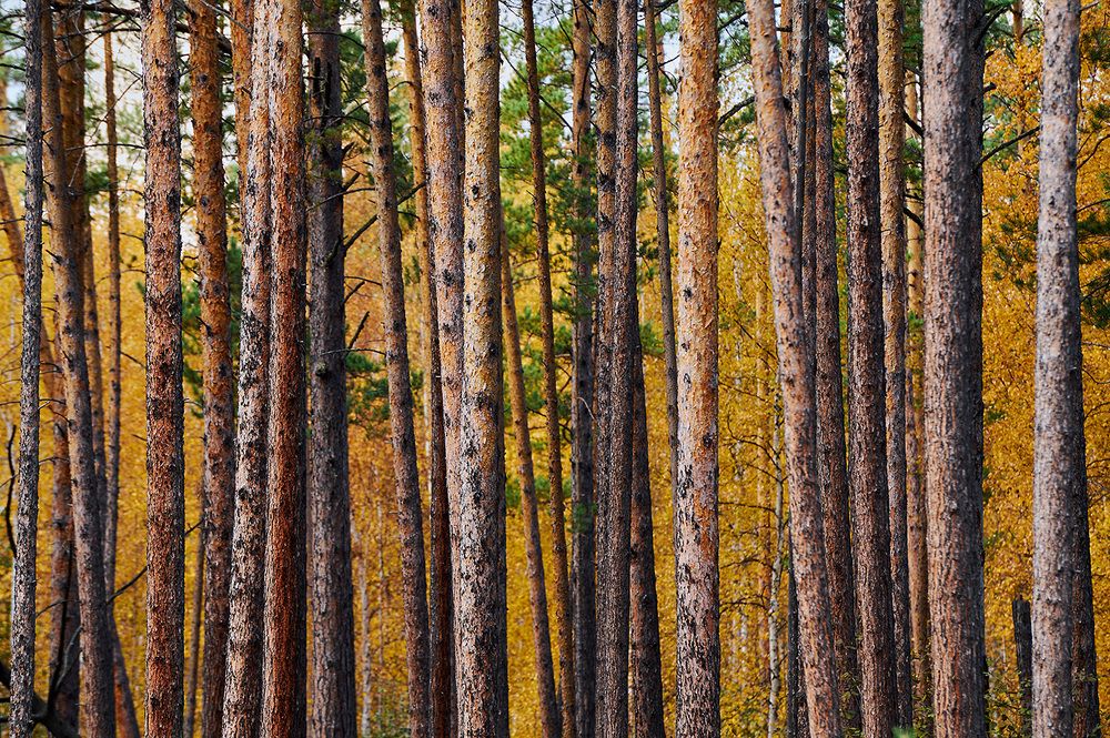 Photograph by Ася Костюковская