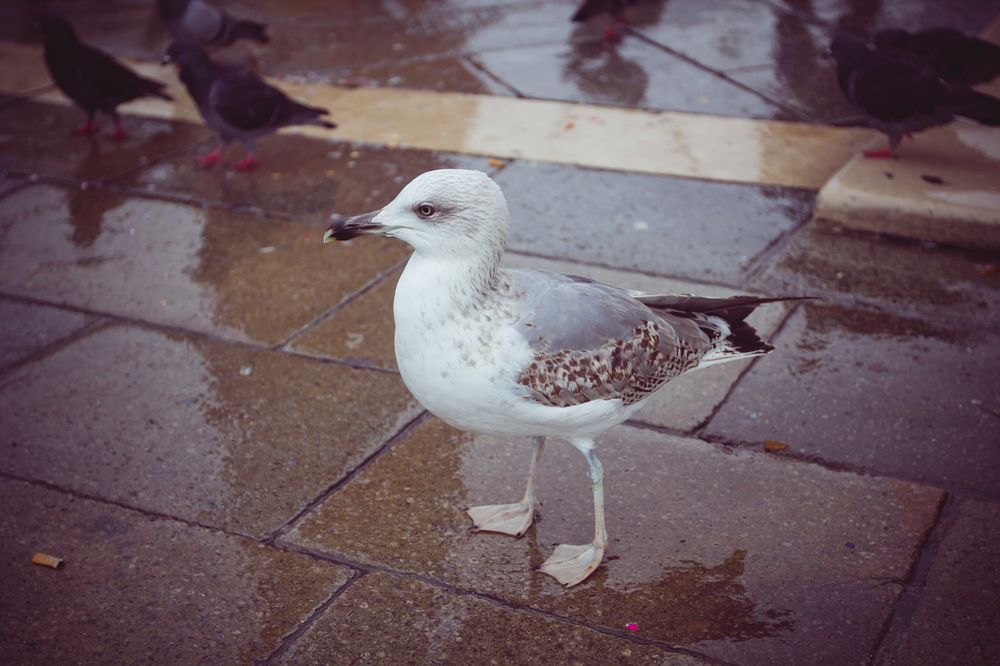 Фотография автора Анна Петина