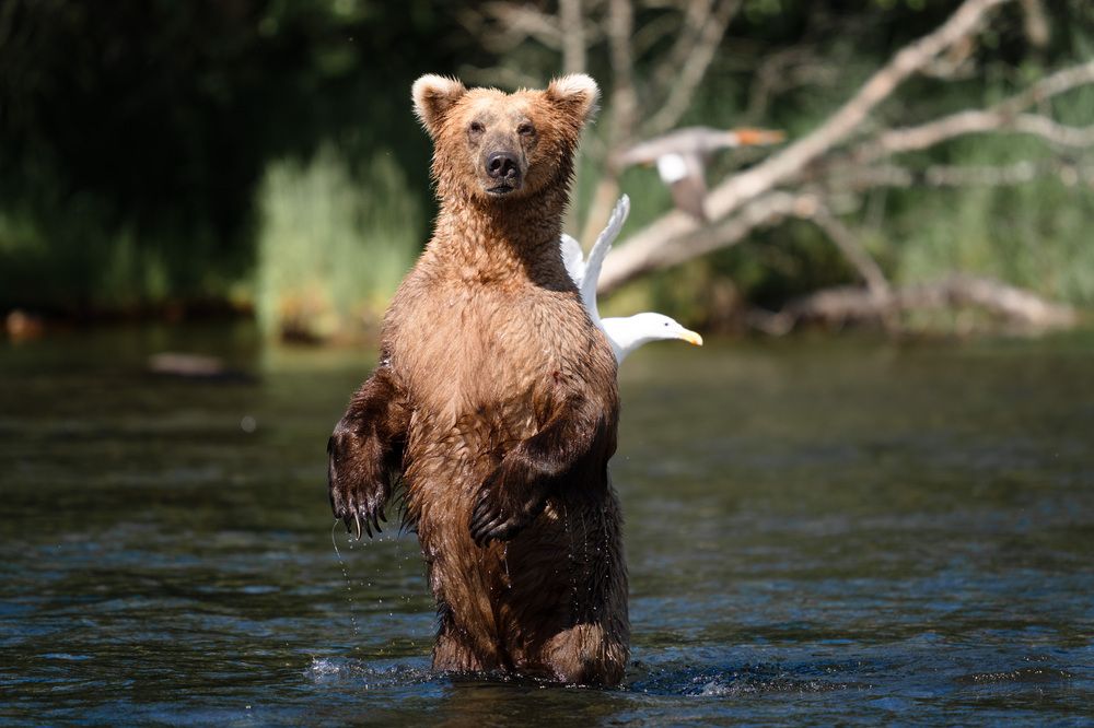 Фотография автора Karthik Subramaniam