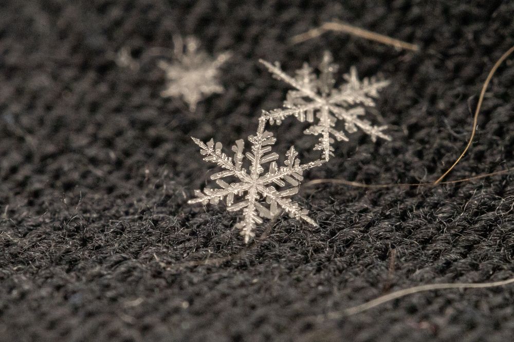 Photograph by Дмитрий Константинов