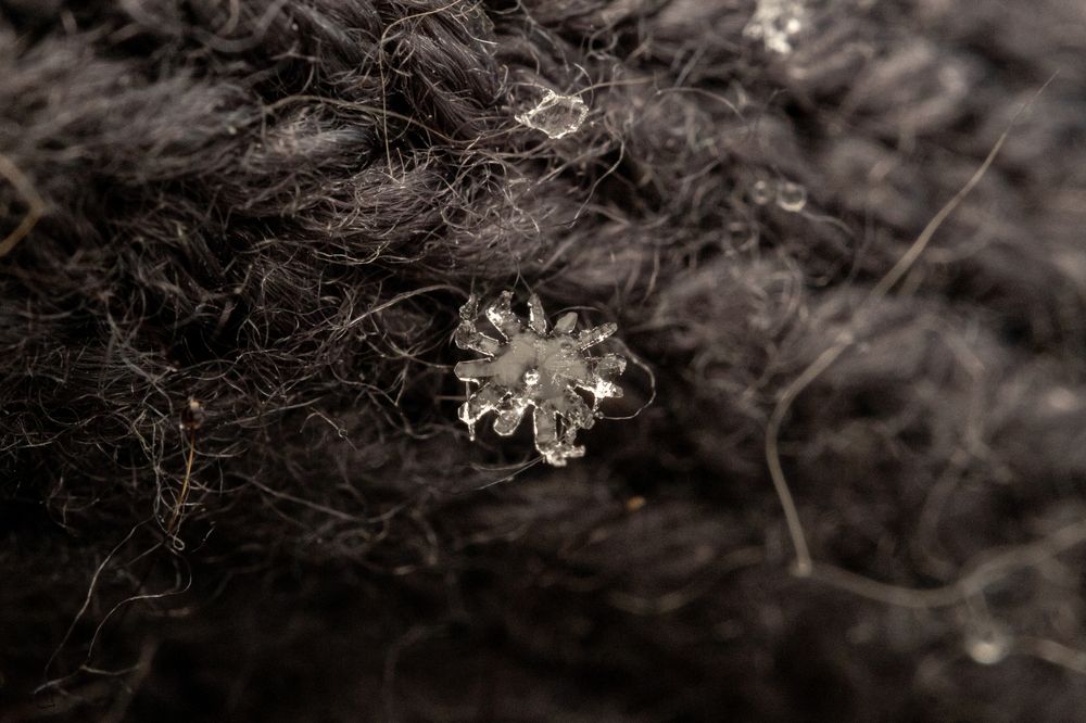 Photograph by Дмитрий Константинов