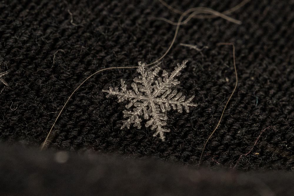 Photograph by Дмитрий Константинов