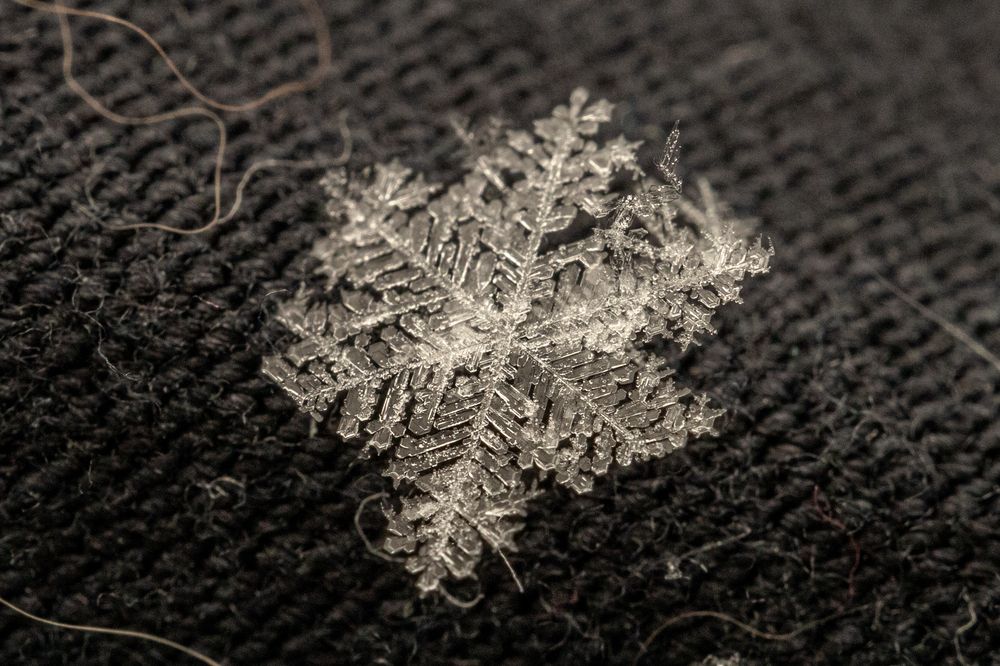 Photograph by Дмитрий Константинов