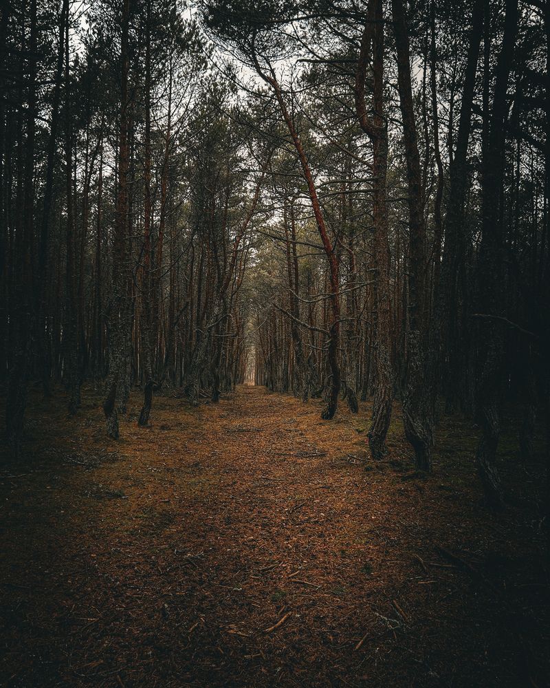 Photograph by Татьяна Петрова