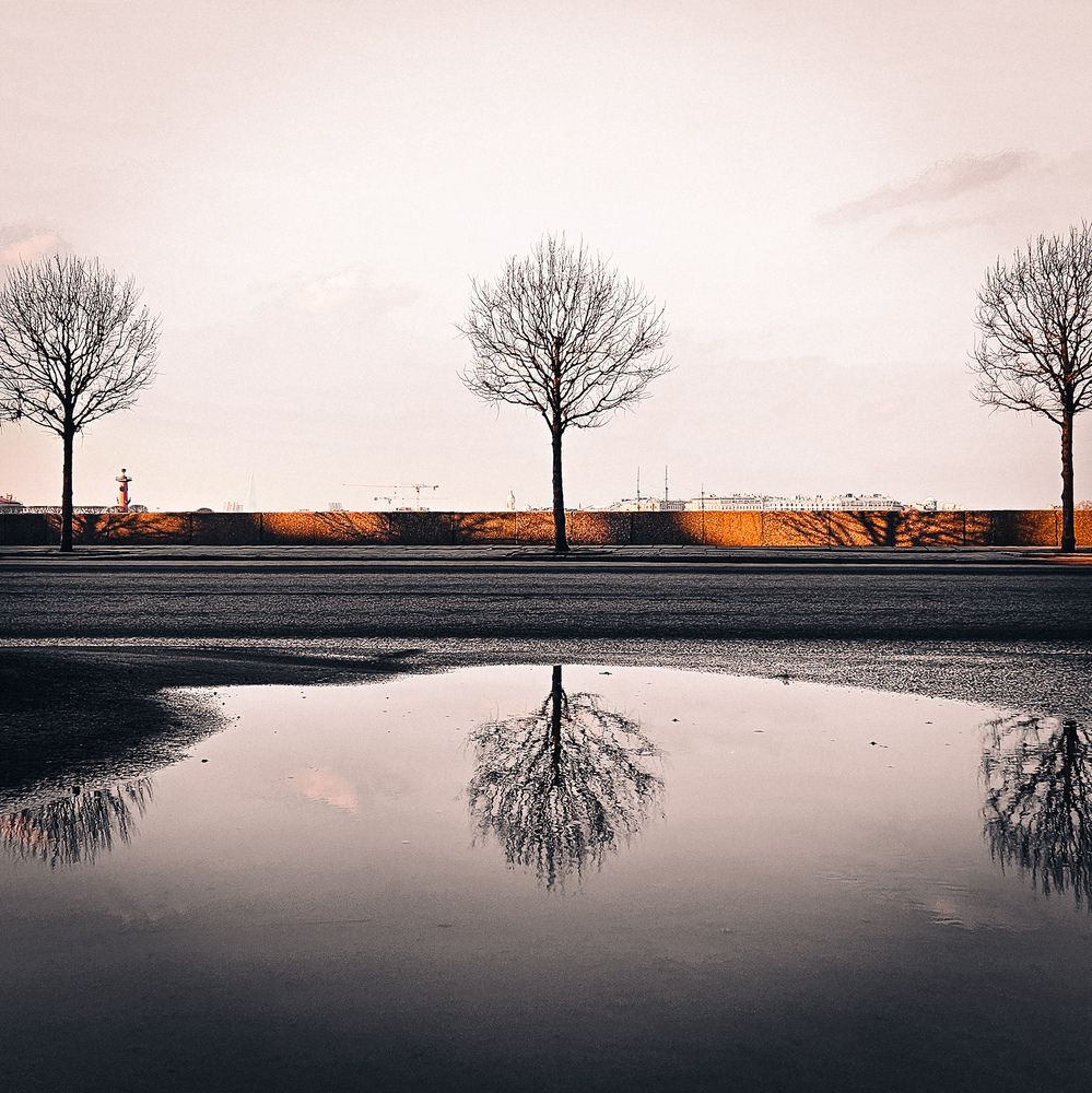 Photograph by ANASTASIYA NIKOLSKAYA