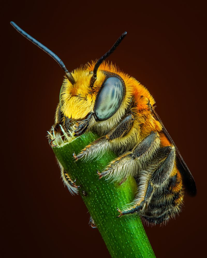 Photograph by Tran The Ngoc