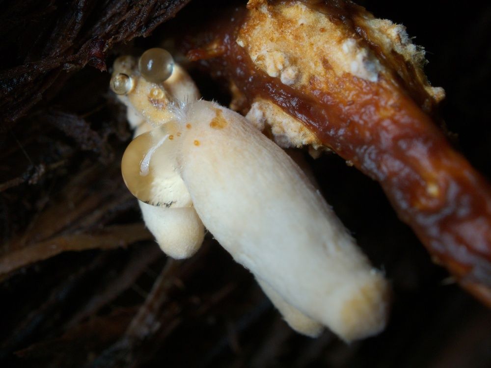 Photograph by Алексей Поляков