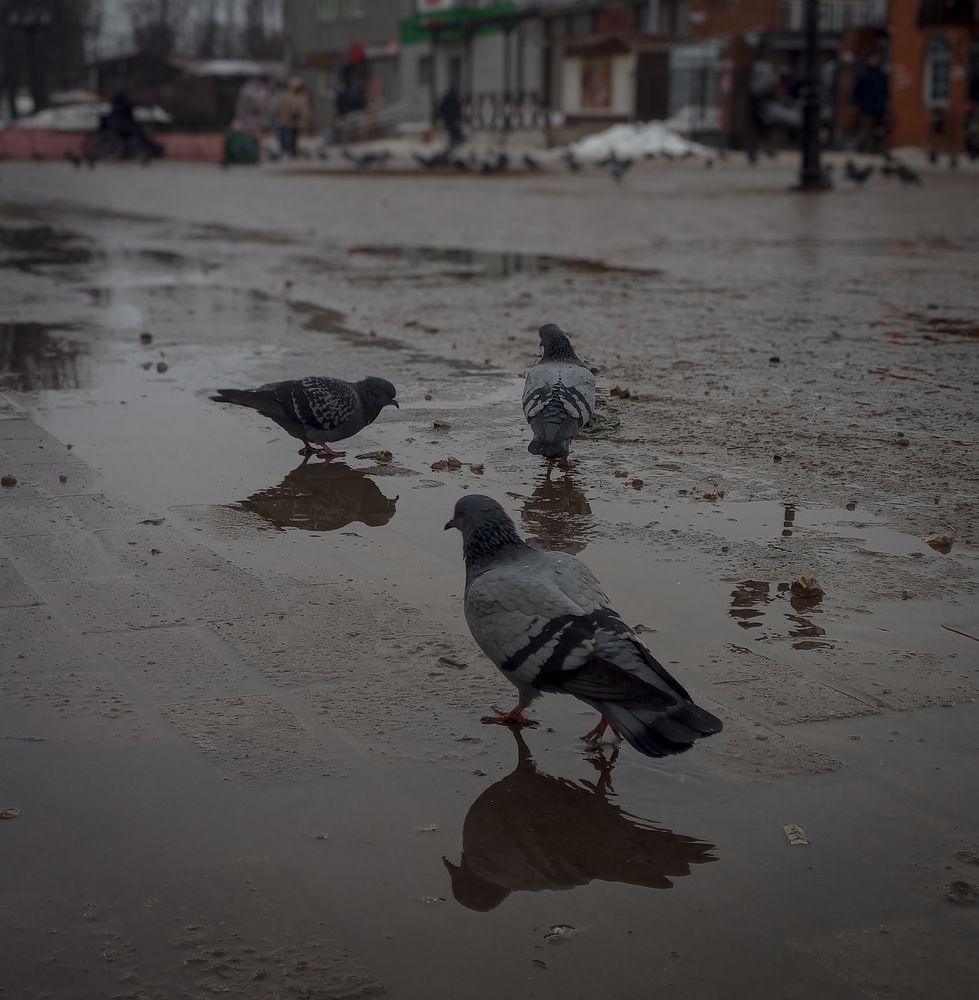 Photograph by Софья Титова