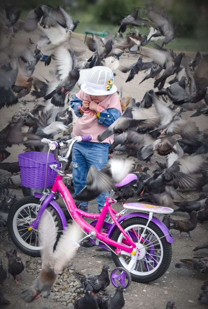 Photograph by Александр Кордюков