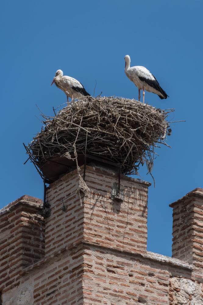 Photograph by Татьяна