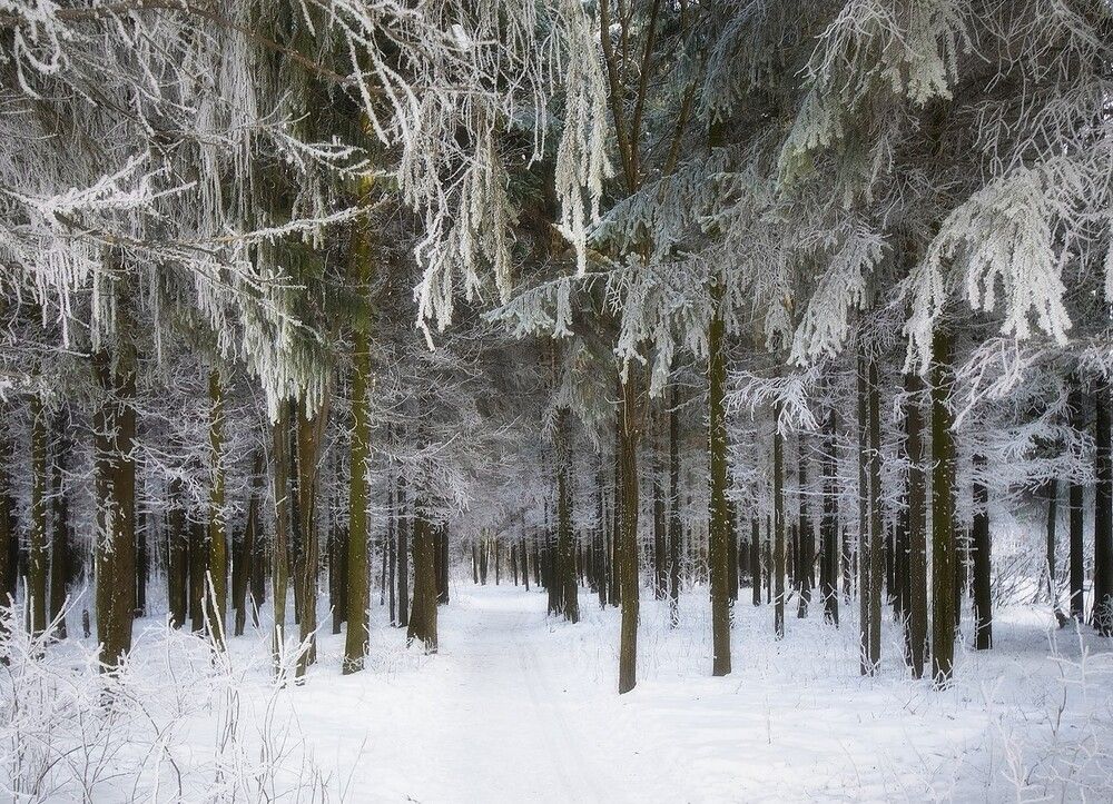Фотография автора Петров Игорь