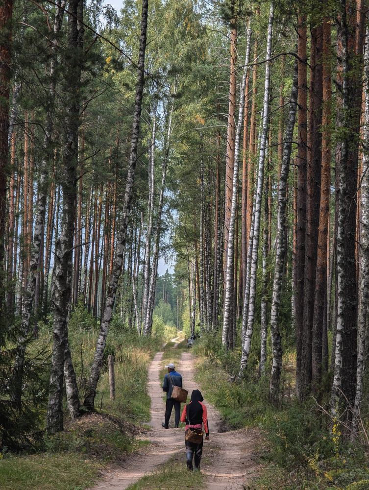 Photograph by Софья Титова