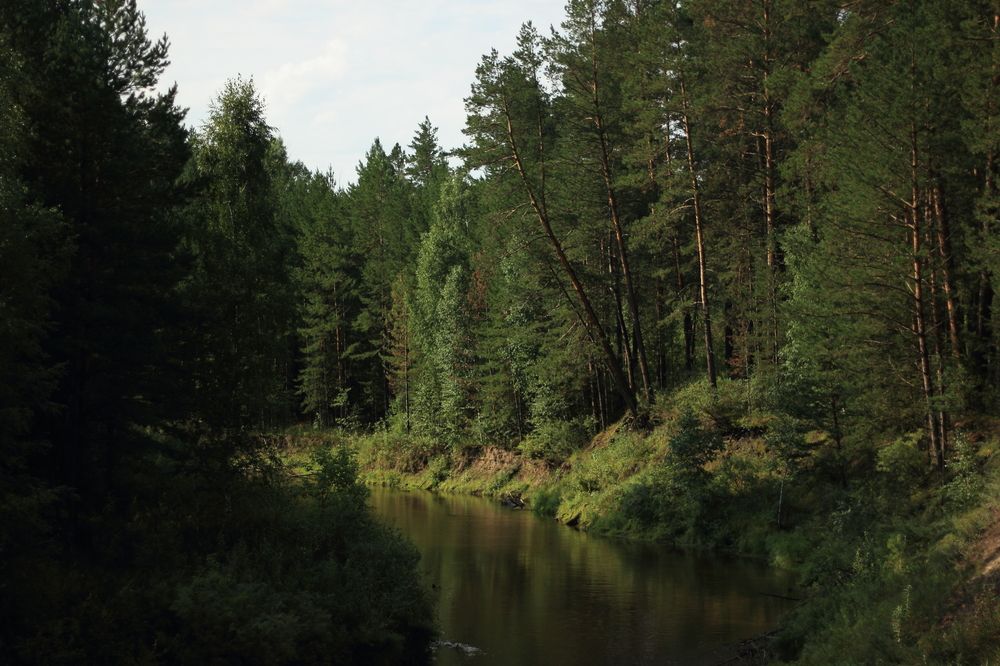 Photograph by Крематорин Артур