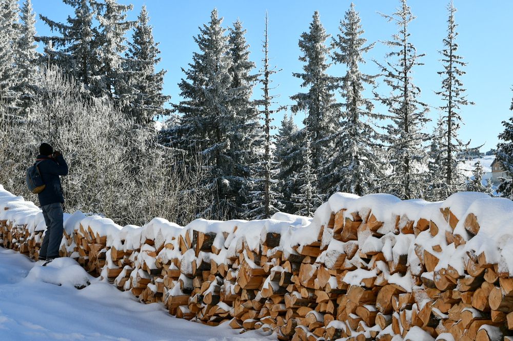 Photograph by Tabit Rodica