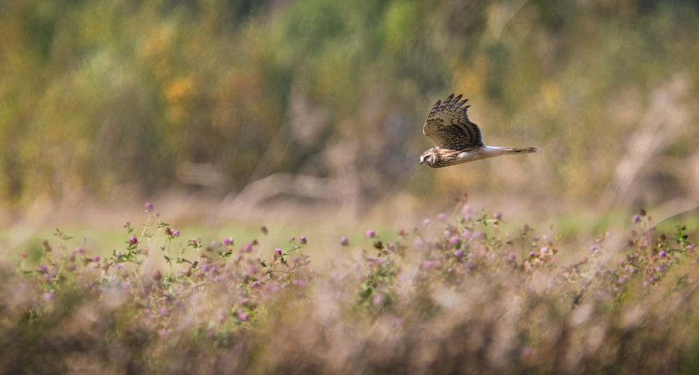 Photograph by Алексей Зайцев