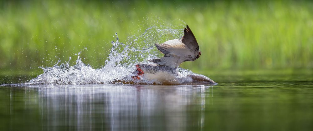 Photograph by Алексей Зайцев