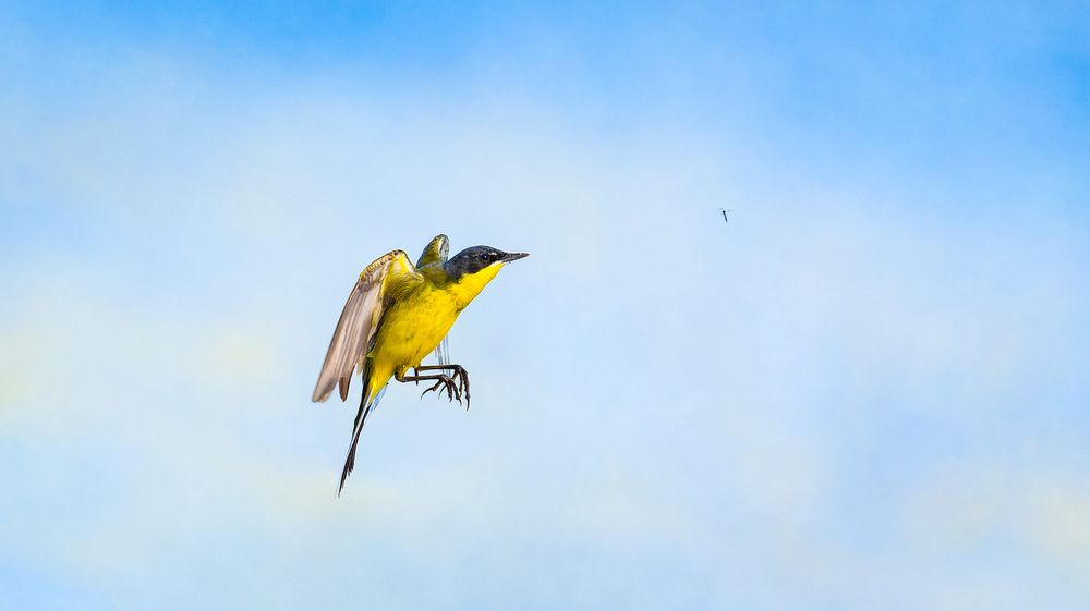 Photograph by Алексей Зайцев