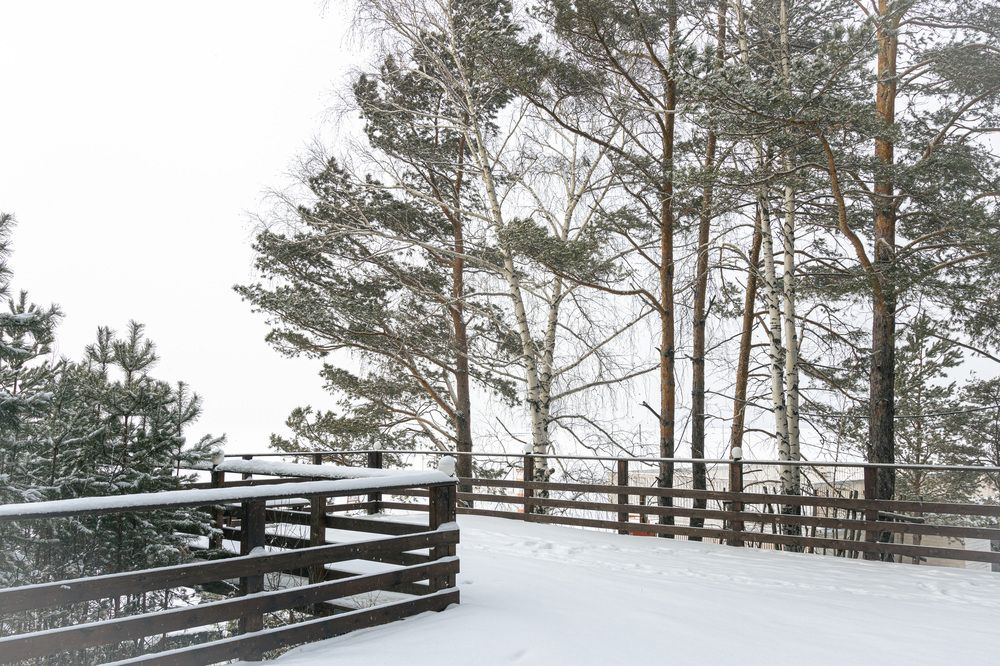 Фотография автора Алена Скокова