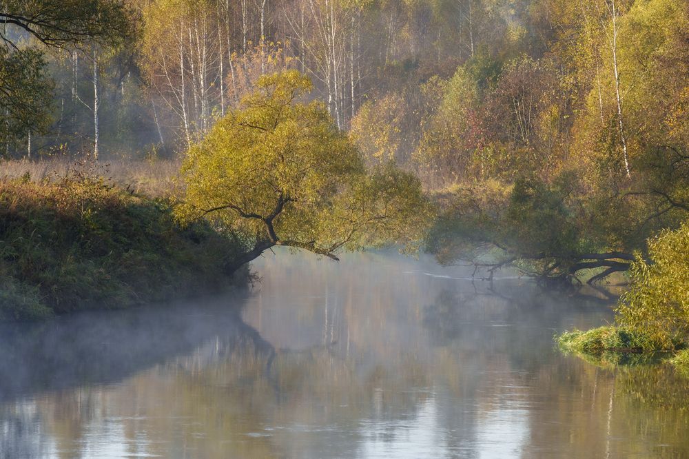 Photograph by Добродий Михаил