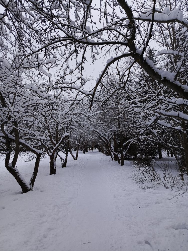 Photograph by Петрова Мария