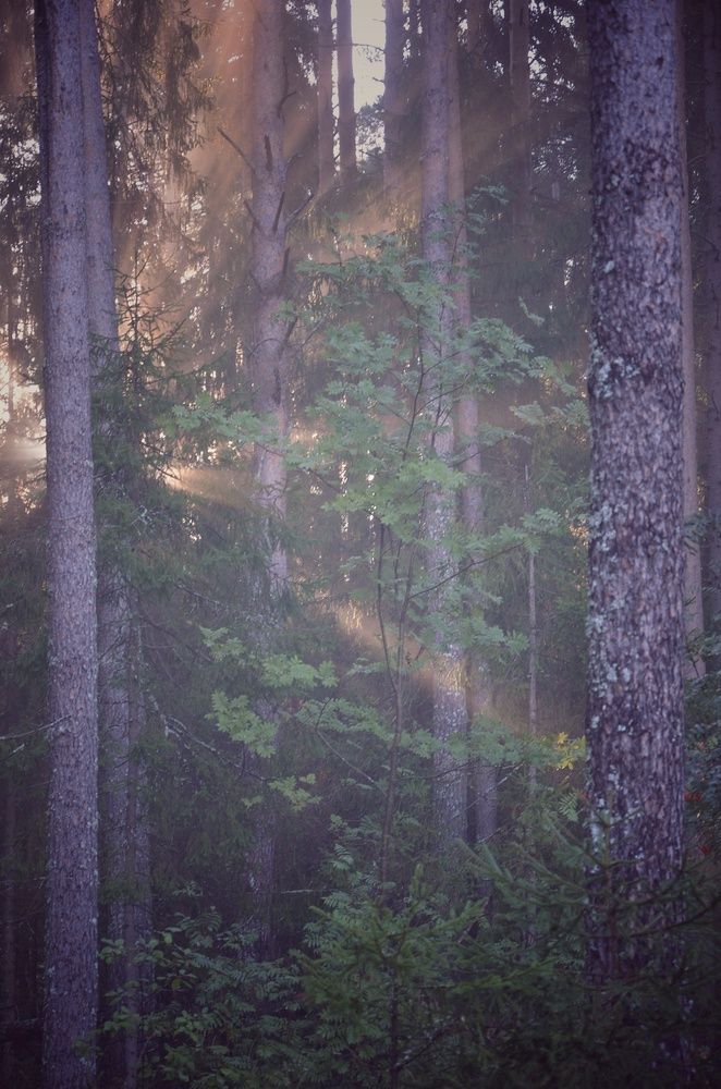 Photograph by Зыкова Мария