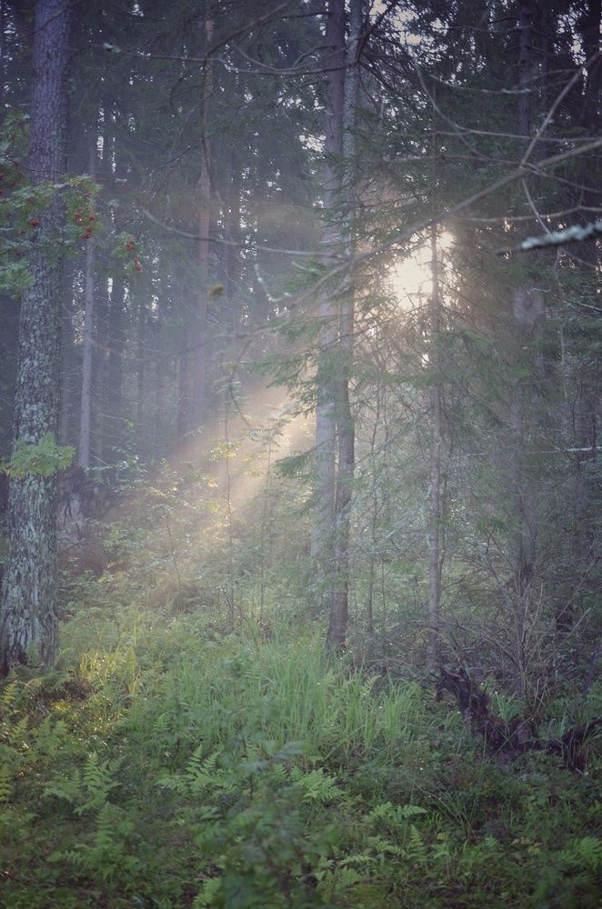 Photograph by Зыкова Мария