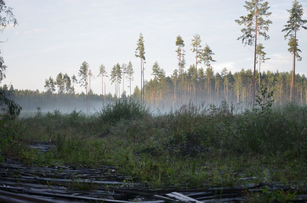 Photograph by Зыкова Мария