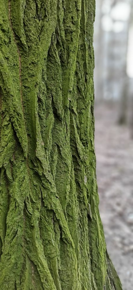Photograph by Елена Фетисова
