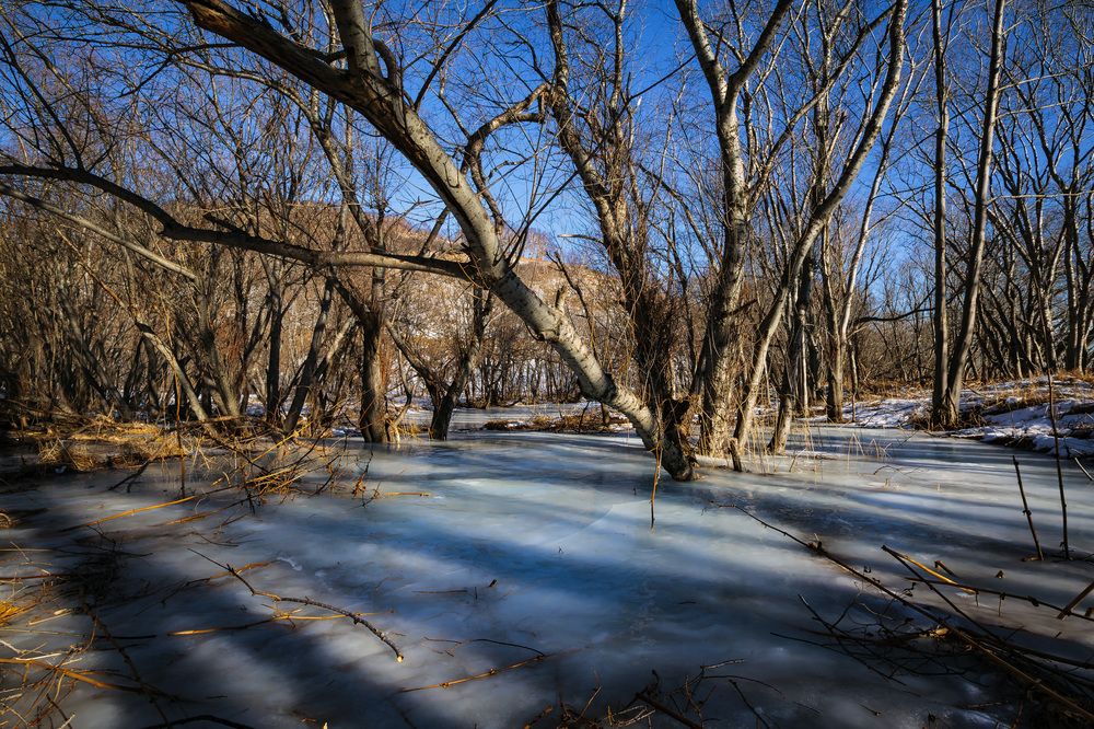 Фотография автора Уткин Дмитрий