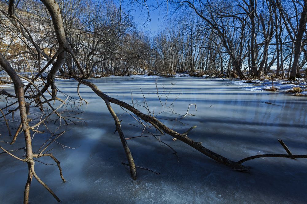 Фотография автора Уткин Дмитрий